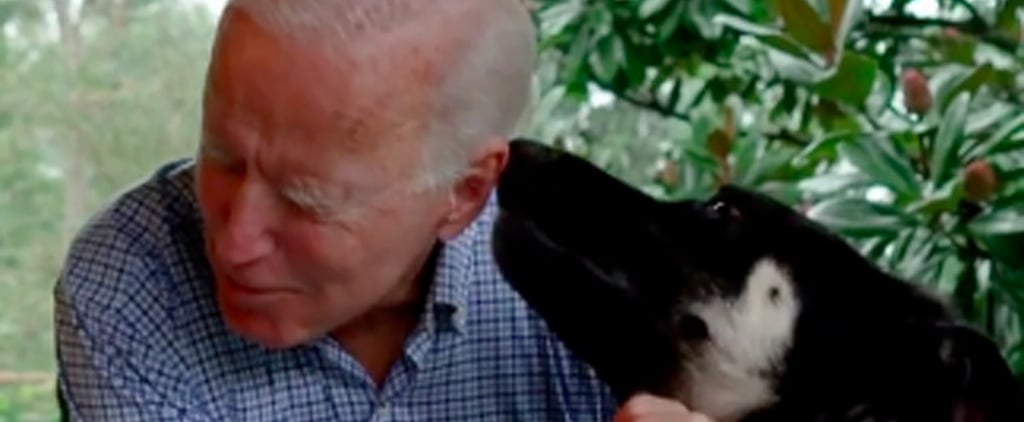 Joe Biden Brings First Rescue Dog to Live in White House