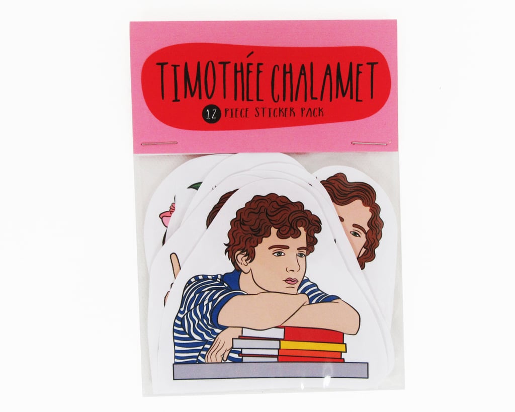 Timothée Chalamet Call Me by Your Name Stickers