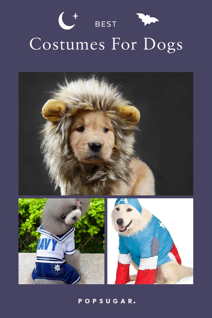 Best Costumes For Dogs POPSUGAR Pets Photo 72