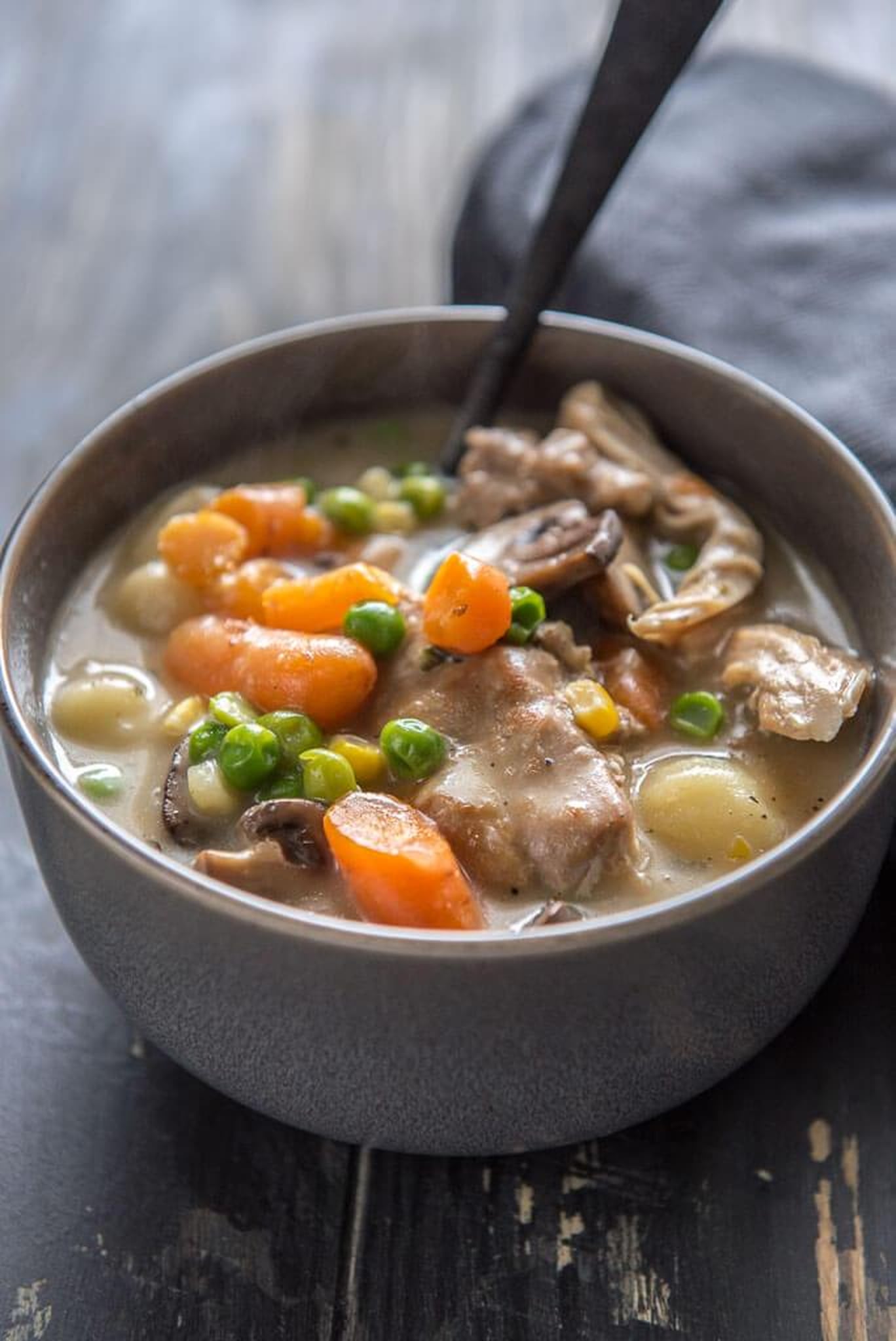 Cheap Instant Pot Recipes For Families | PS Family