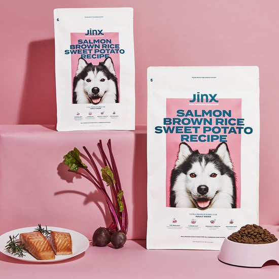 Jinx Dog Food Review