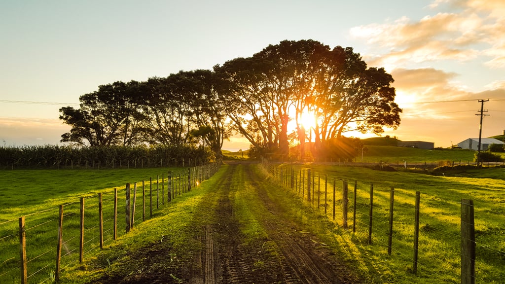 30+ Pretty Photos of Spring to Remind You That It's Coming!