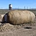 The Big Idaho Potato Hotel Airbnb