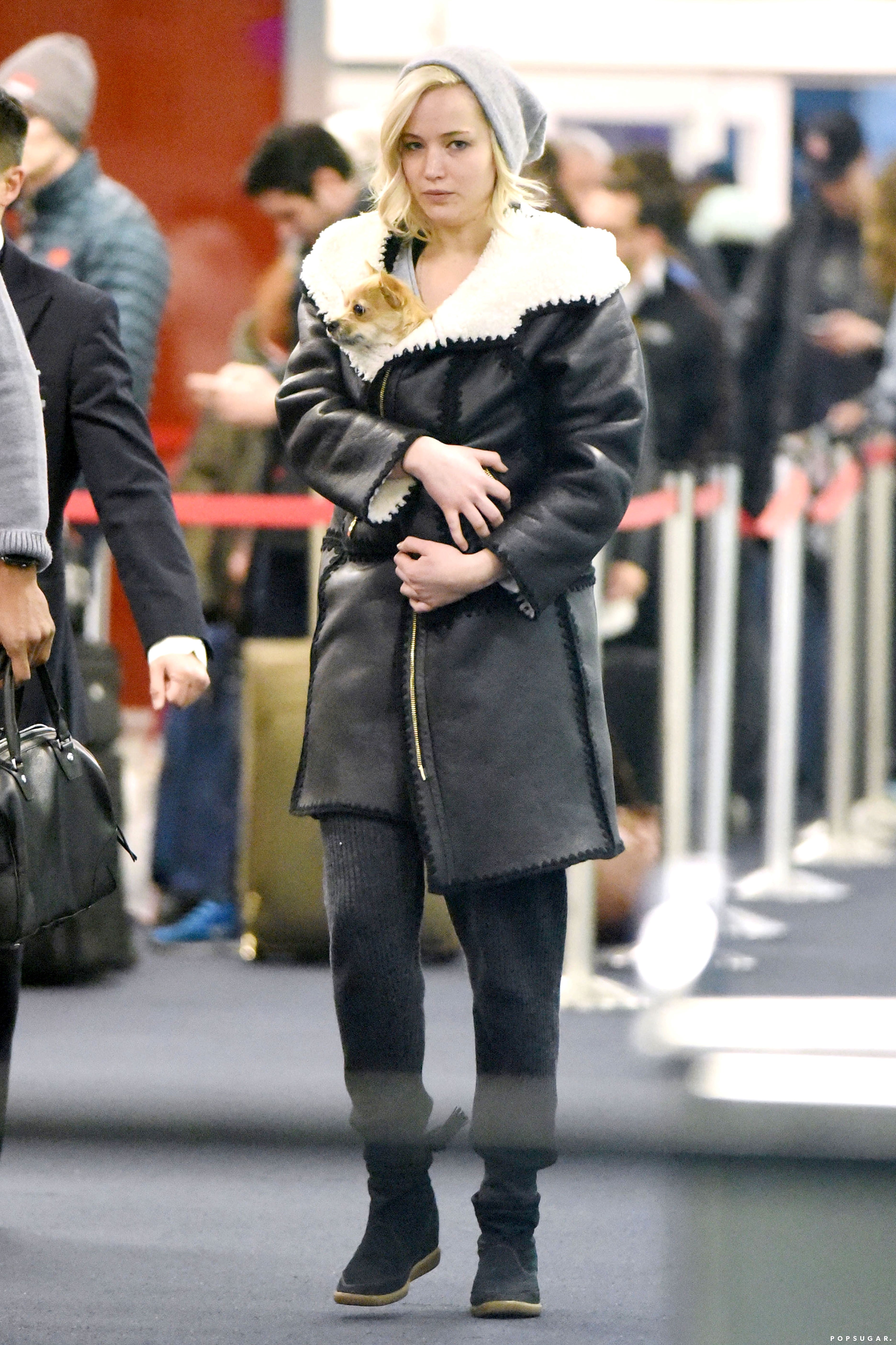 Jennifer Lawrence With Her Dog at JFK Airport | PS Celebrity, image size:3744x5616