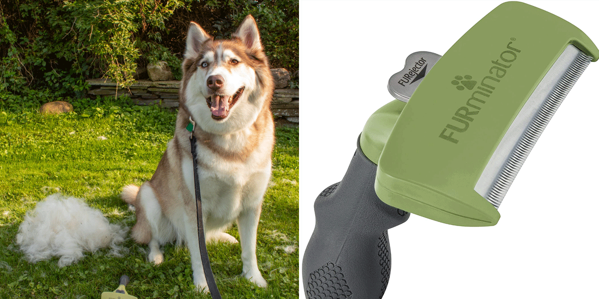 Why I Love the Furminator Deshedding Tool Review POPSUGAR Pets
