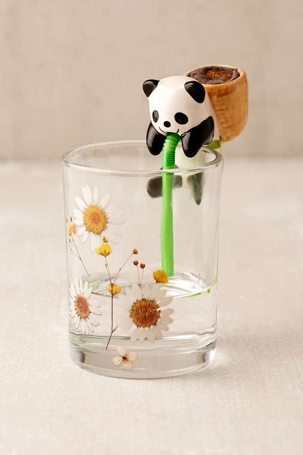Chuppon Panda Self Watering Basil Planter
