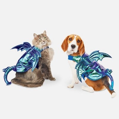 Iridescent Green Dragon Dog and Cat Costume