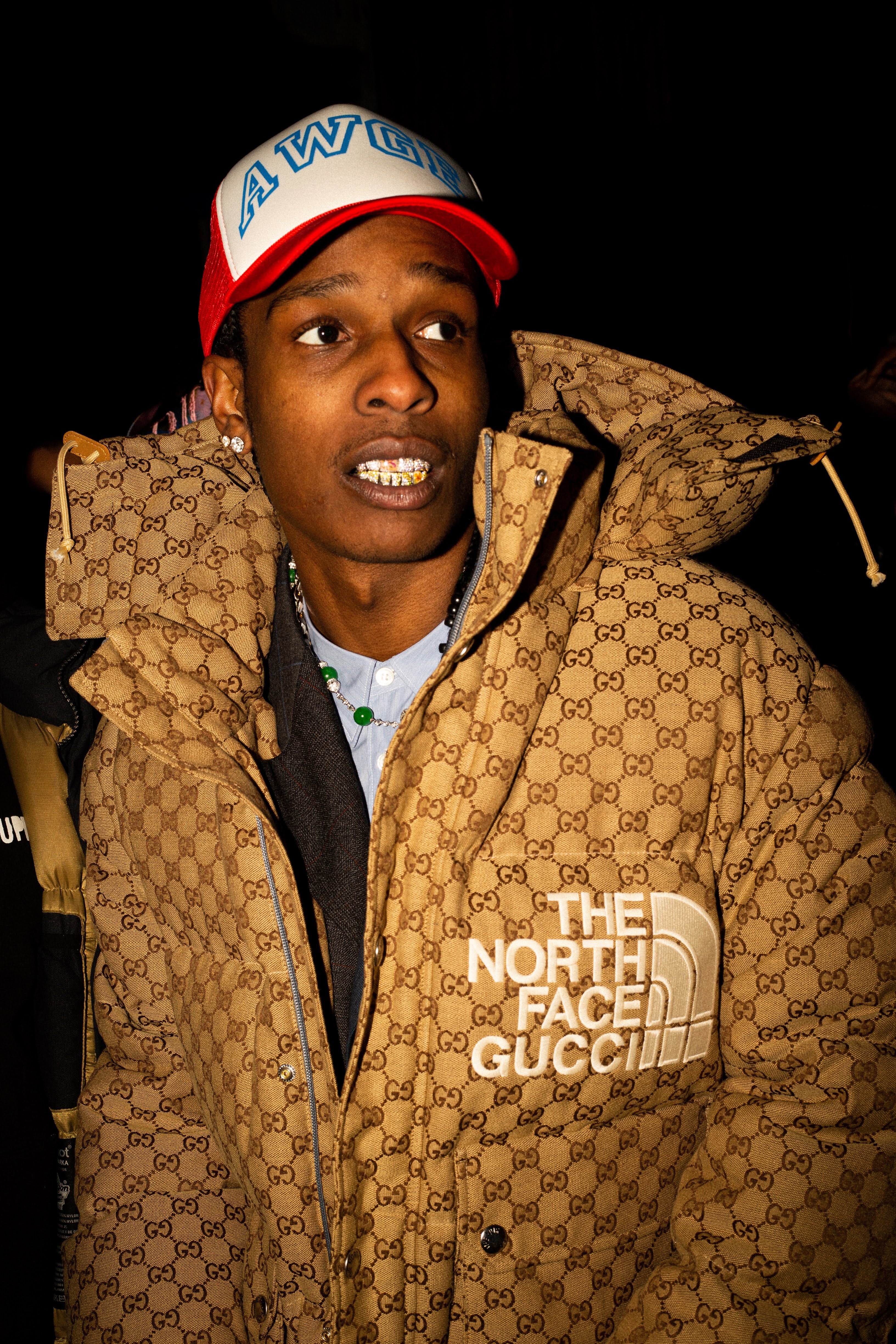 Gucci x The North Face Puffer Jacket