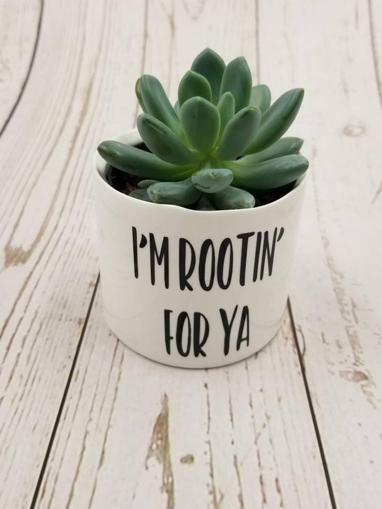 I'm Rootin' For Ya Punny Plant Pot