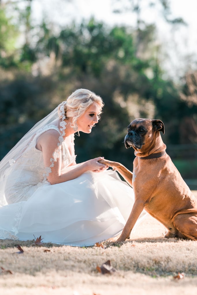 Dogs in Weddings