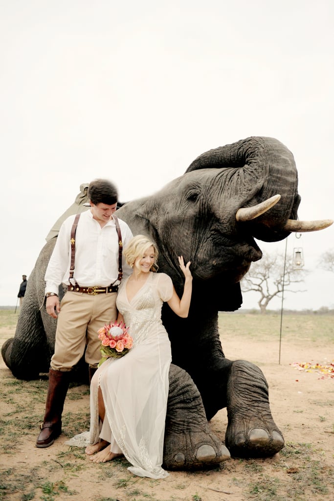 South African Safari Wedding With Elephants