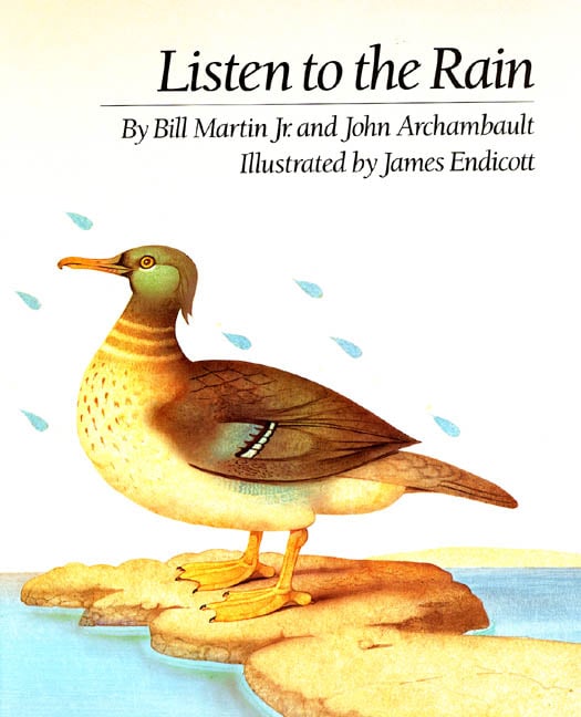 Listen to the Rain