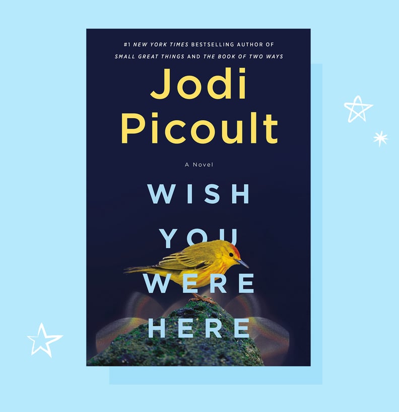 book review for wish you were here