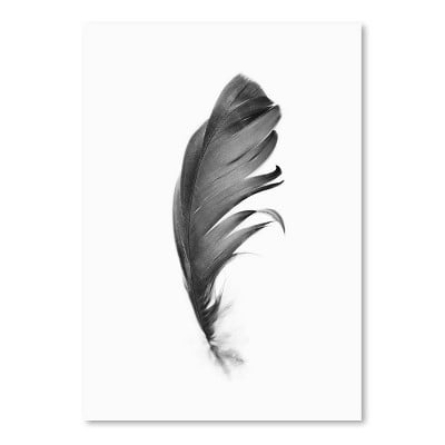 Americanflat Black Feather by Sisi and Seb Unframed Print