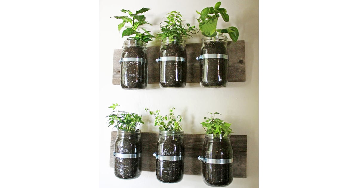 Create an Indoor Herb Garden | Rainy Day Activities For Kids | POPSUGAR