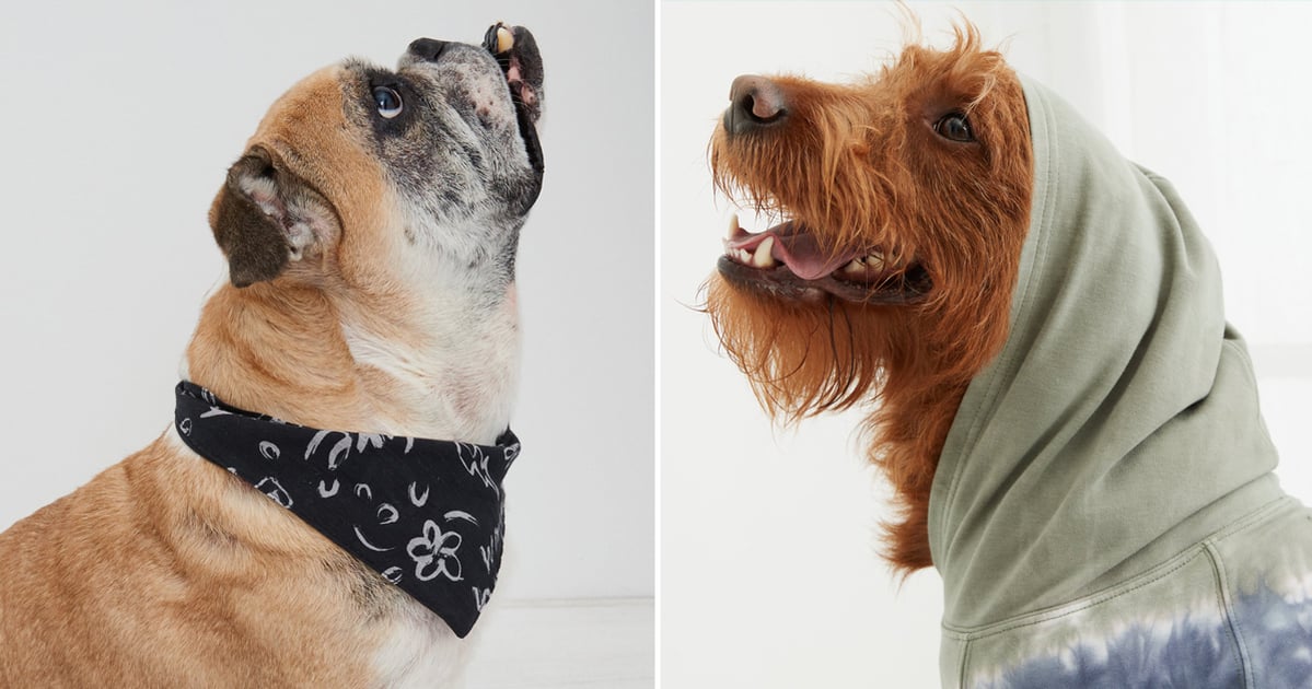 American Eagle Has the Cutest Dog Clothes and Bandanas POPSUGAR Pets