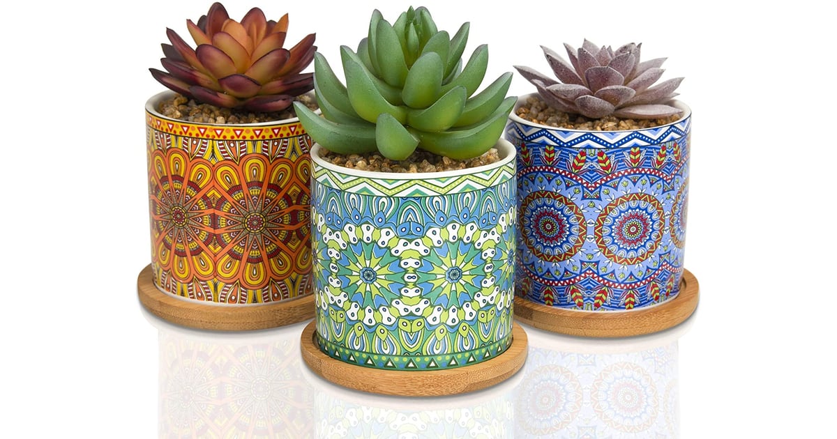 Something Colorful Casaluxe TwoToned Artificial Succulents in Mandala