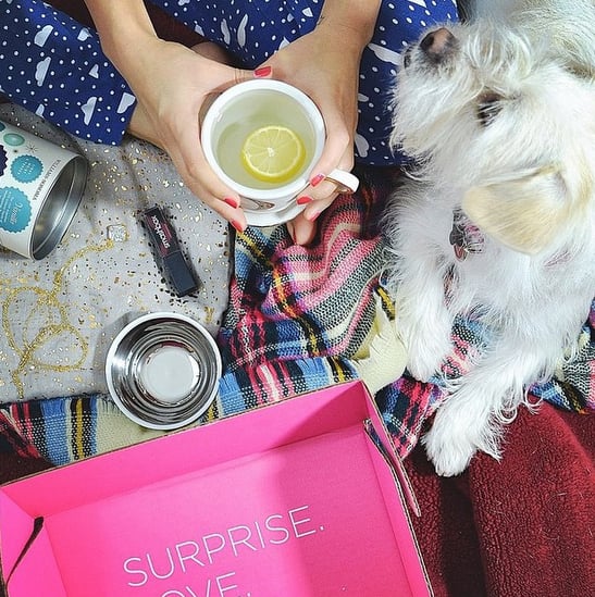 @meganquint and her pup sharing the Must Have experience #gooddog #reveal #december #2014 #regram #subscriptionbox