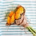 7-Day Gratitude Challenge