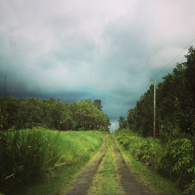Tree House in Hawaii POPSUGAR Smart Living