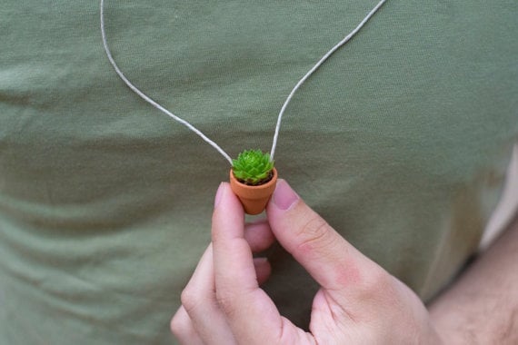 miniature succulent planter necklaces