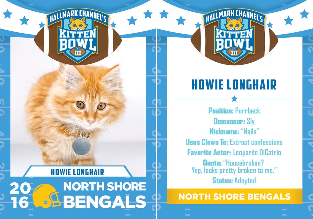 Kitten Bowl 2016