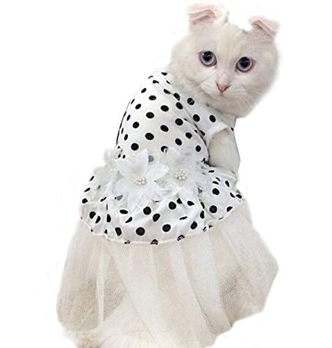 Floral Wedding Dress Cat Costume | Best Cat Costumes For Halloween 2020 ...