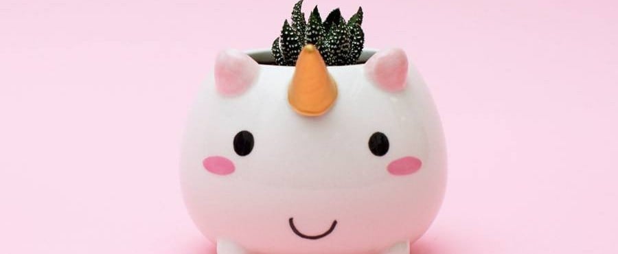 Unicorn Home Decor