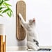 Best Problem-Solving Products For Cat Ownder
