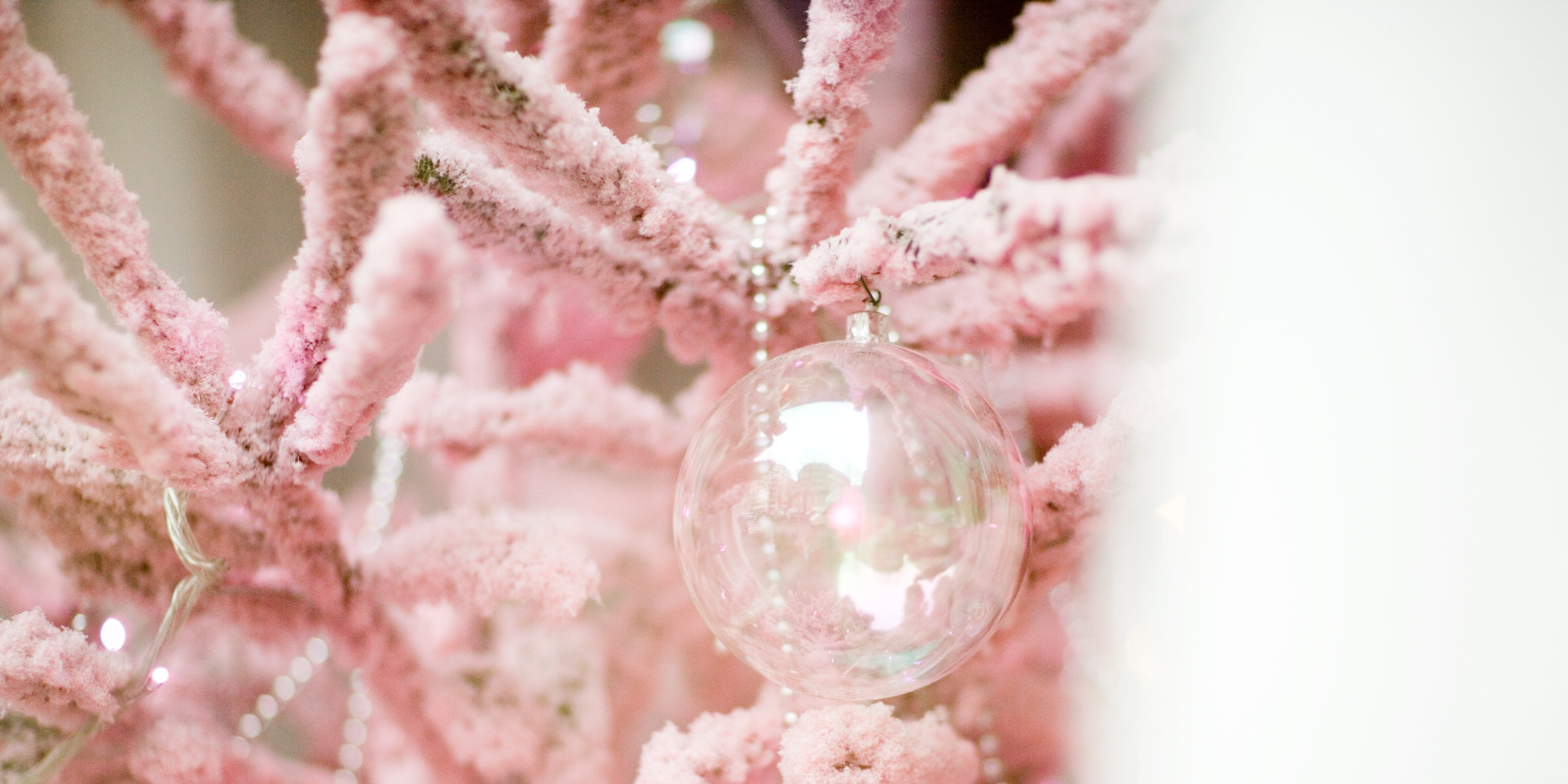 Pink christmas online