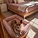 13 Amazon Dog Beds That Will Make Your Pup Feel Like Royalty