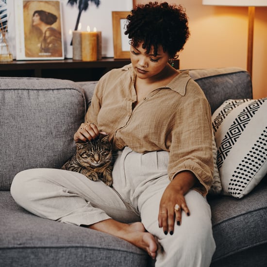 8 Best Sofas For Pet Owners: Comfort, Durability, and Style