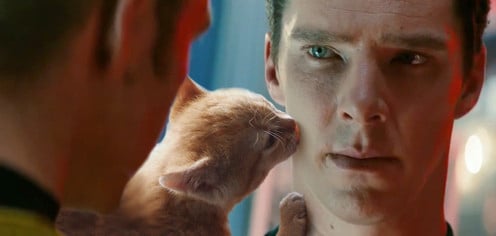 Benedict Cumberbatch With Cats