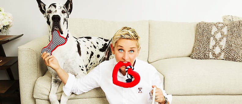 Ellen degeneres dog products cheap