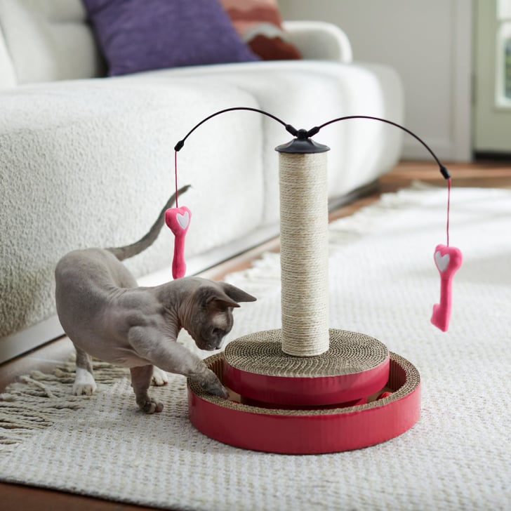 An Interactive Toy For Cats Frisco Valentine Key to My Heart