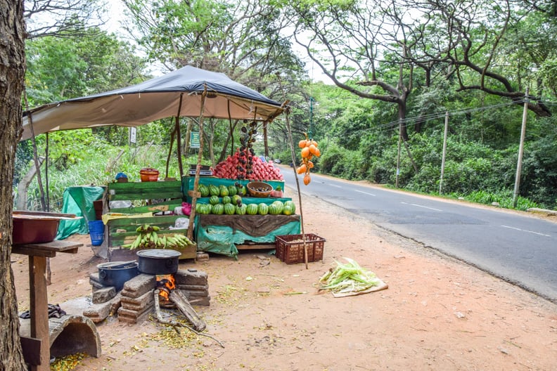 Roadside Fruit Stands