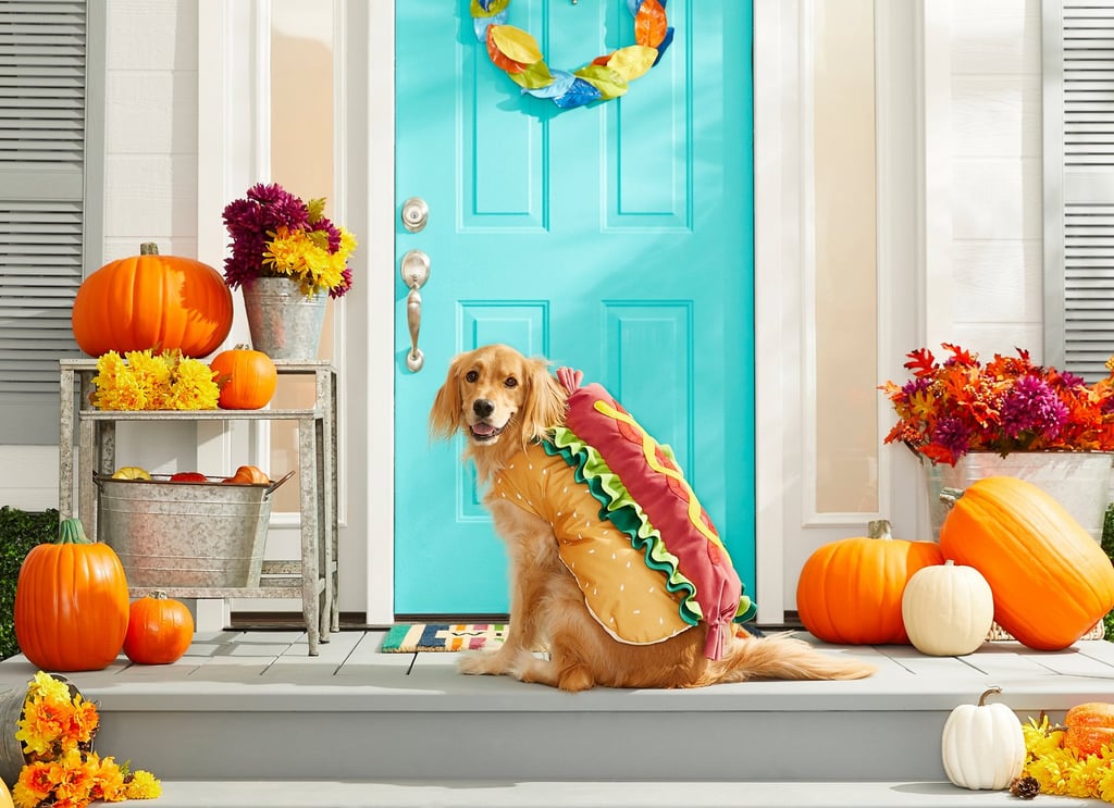 Frisco Hotdog Dog & Cat Costume
