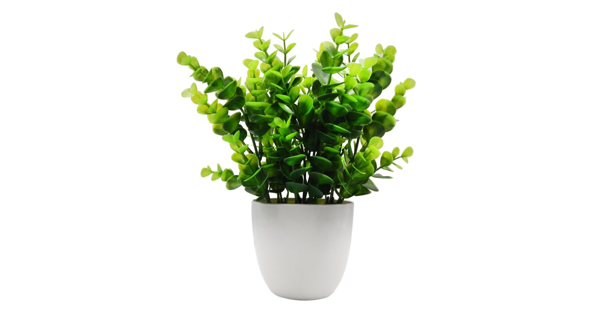 Offidix Mini Artificial Eucalyptus Plant Best Fake Plants That Look