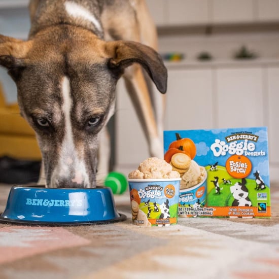 Ben and Jerry's Ice Cream Flavors For Dogs | Doggie Desserts
