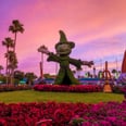 23 Pictures of Disney Parks That Prove the Magic Happens at Night