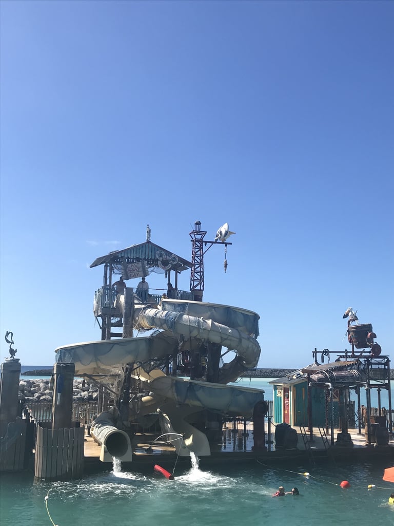Dive Into The Water at Pelican Plunge
