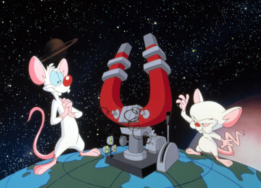 Pinky and the Brain
