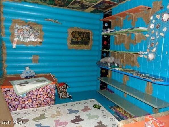 Cat House in Arizona