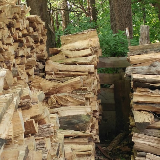 Cat Hidden in Logs Optical Illusion