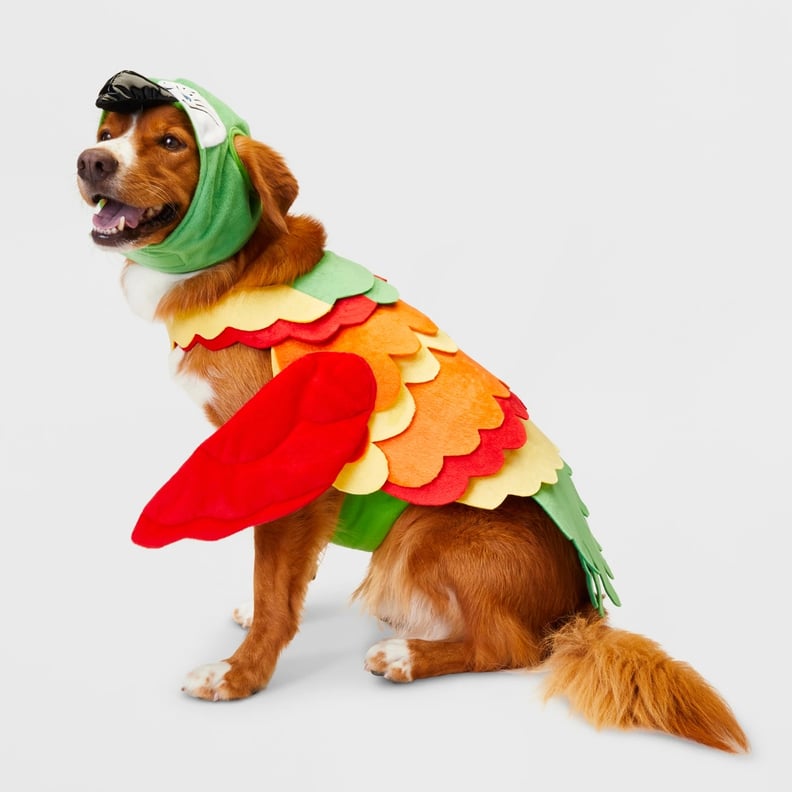 Parrot Dog Costume