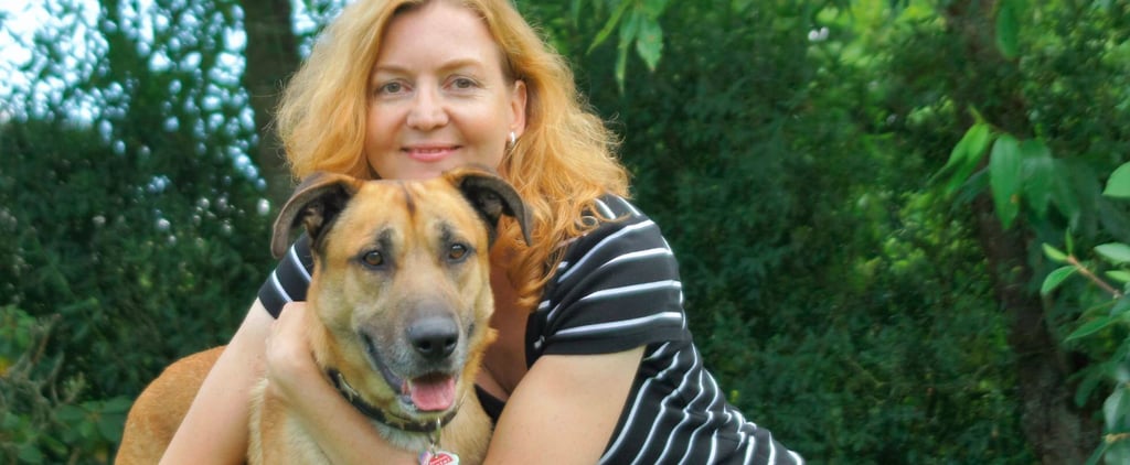Dog Waits Outside Hotel to Be Adopted