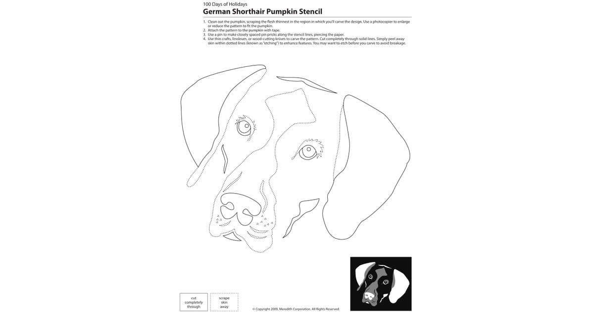 Downloadable Dog Breed Pumpkin Stencils POPSUGAR Pets Photo 25