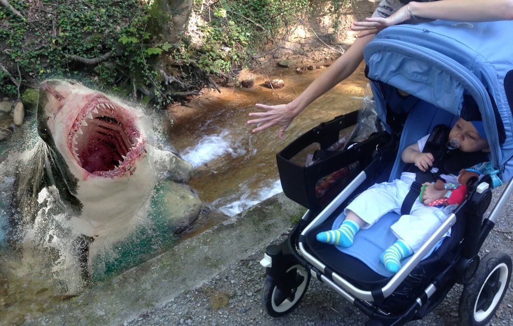 Babysitter Photoshops Hilarious Pictures