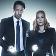 The X-Files: Mulder and Scully Return in More Mysterious Posters For the Revival