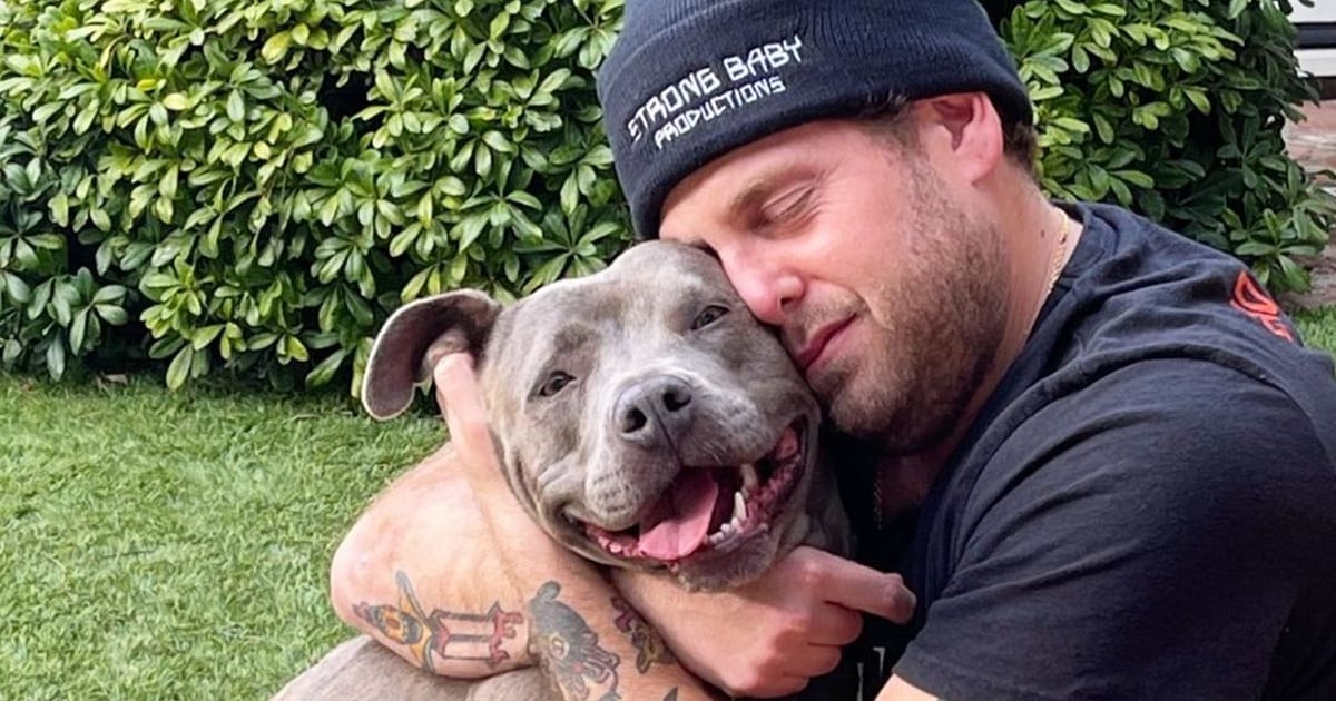 jonah hill rescues 3 year old pit bull